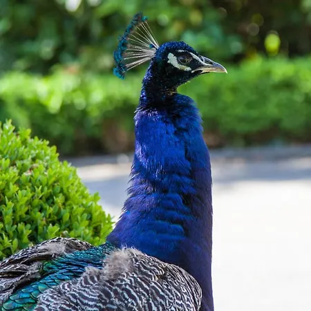 Maison Grandsire Logis De Charme 3*